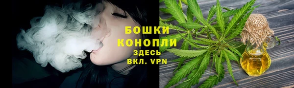 соль ск Арсеньев