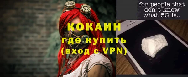 соль ск Арсеньев