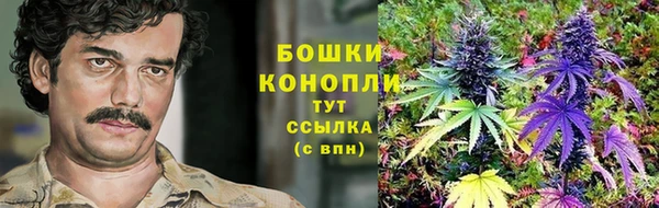 2c-b Аркадак