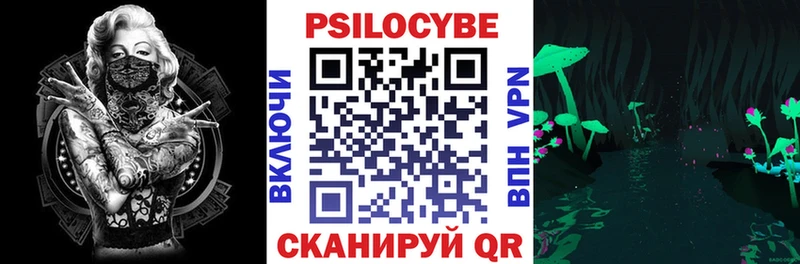 хочу наркоту  Никольское  Галлюциногенные грибы Magic Shrooms 