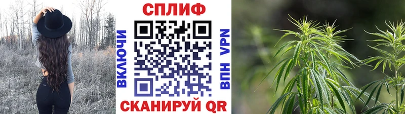 кракен маркетплейс  магазин продажи наркотиков  Никольское  Конопля AK-47 